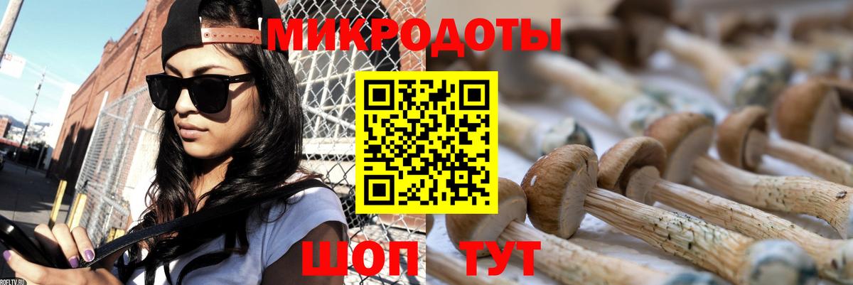 Галлюциногенные грибы Psilocybine cubensis  Галлюциногенные грибы MAGIC MUSHROOMS  Вход с VPN  Дербент 